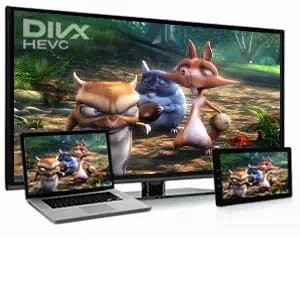 DivX playback across screens