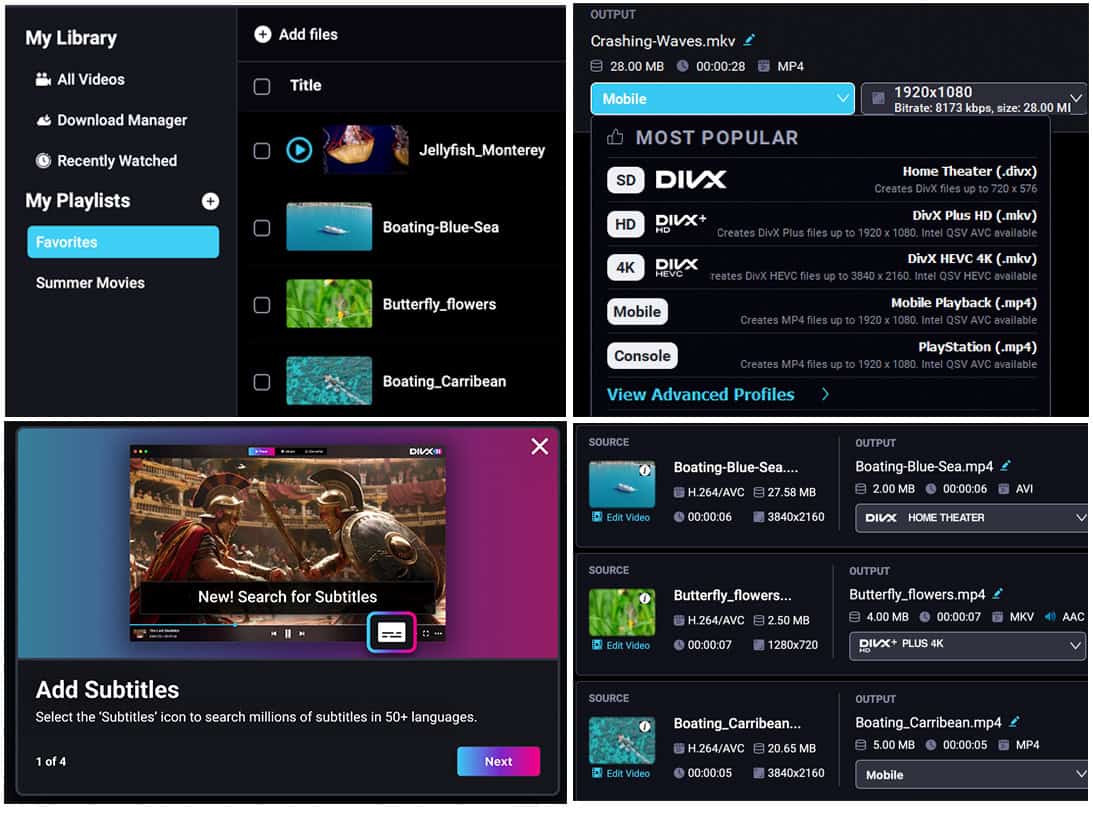 DivX Software Features